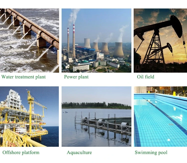 Swimming Pool Disinfection Water Electrolysis Sodium Hypochlorite & Ozone Production Mmo Coated Titanium Anode