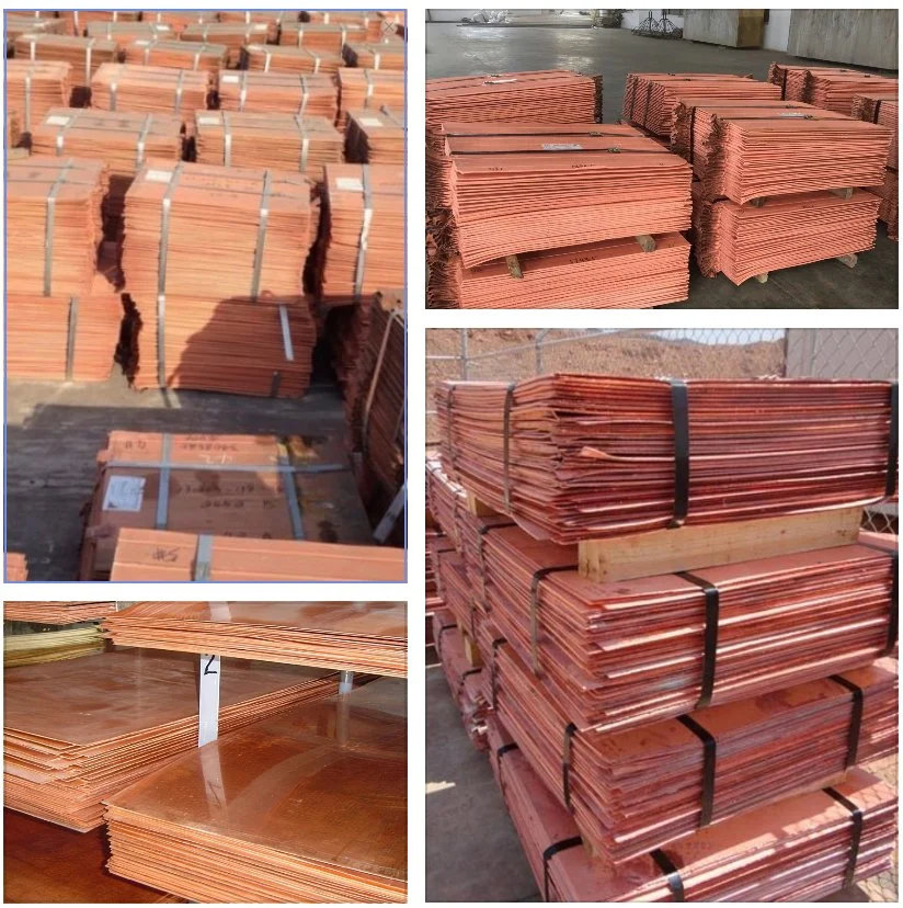 Metal Materials Factory Price Copper Cathode / Top Quality Pure Copper Cathode / Pure Copper Cathodes for Sale